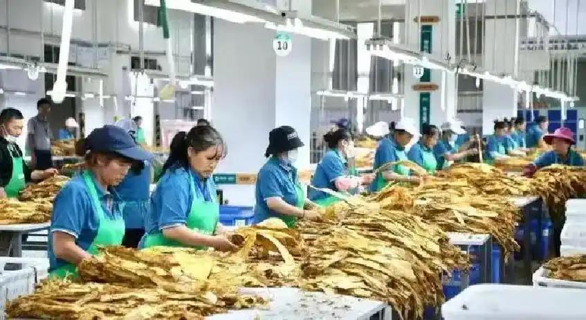 诺里斯F1西班牙站排位获第四