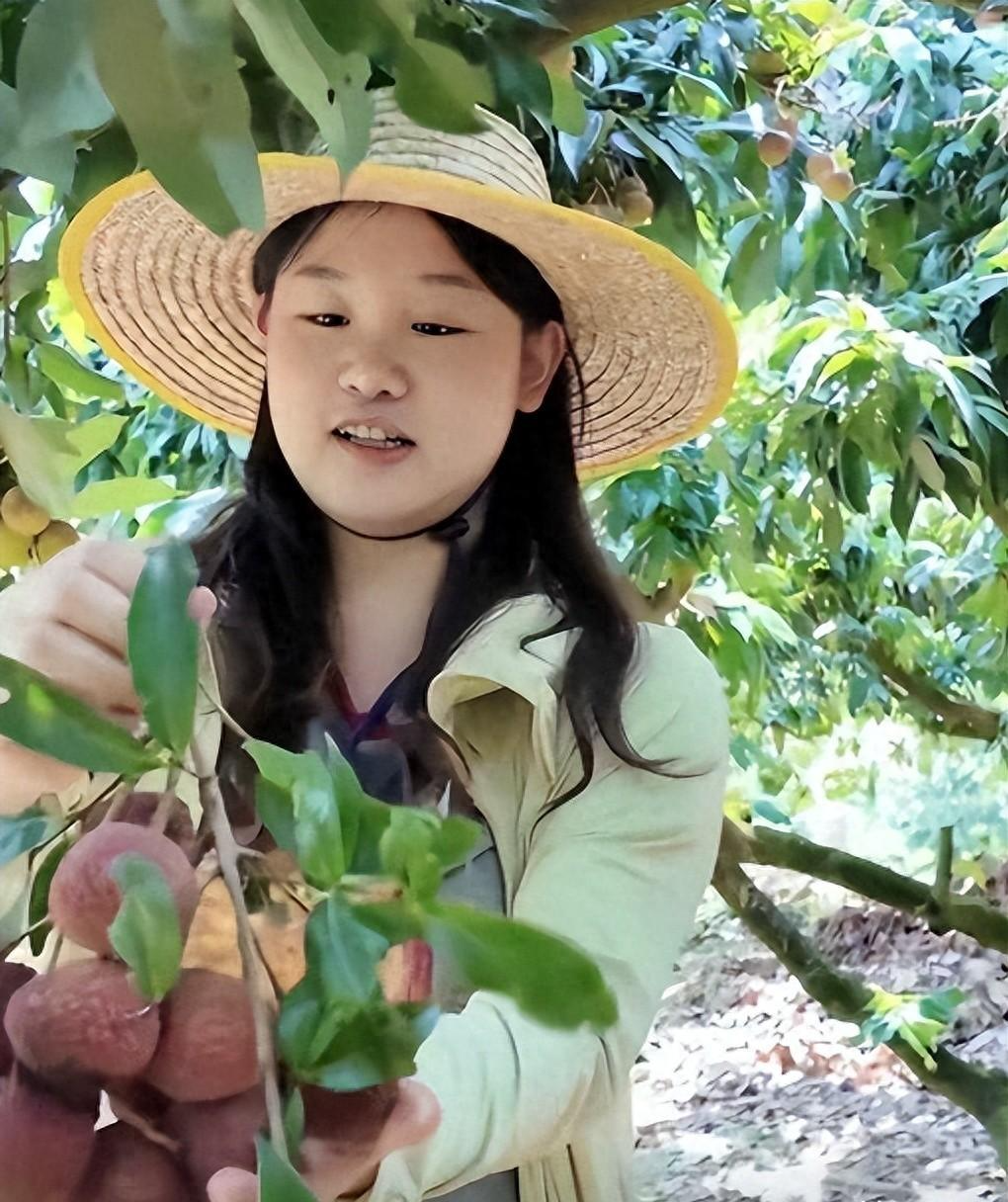 爱游戏体育巴西重大噩耗!内马尔二级拉伤恢复缓慢,将缺席全部的小组赛
